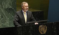 Iran, Hoyer, FDP, UNO, Vollversammlung